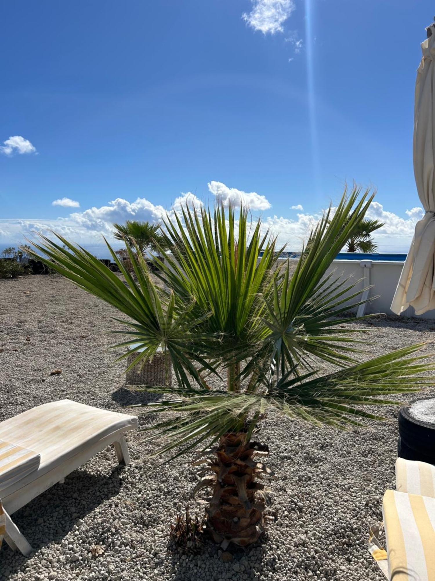 Casa Mirador Daire Arona  Dış mekan fotoğraf